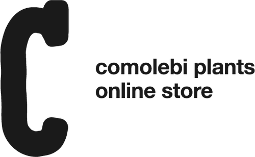 comolebi plants online store