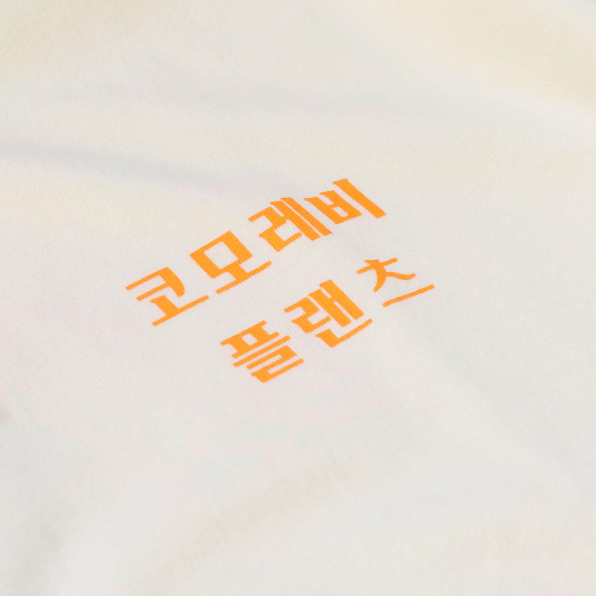 comolebi plants LOGO TEE KOREA [FADE WASHED WHITE/orange・blue]