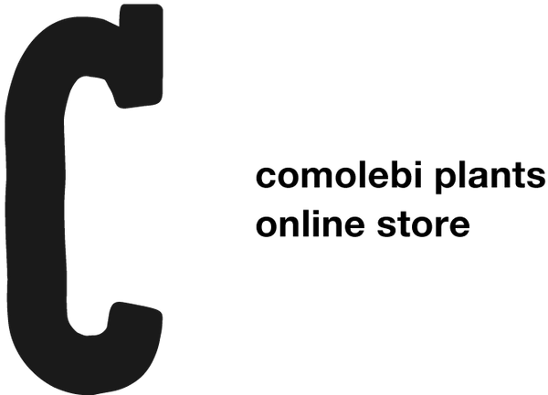 [C] webstore by comolebi plants 