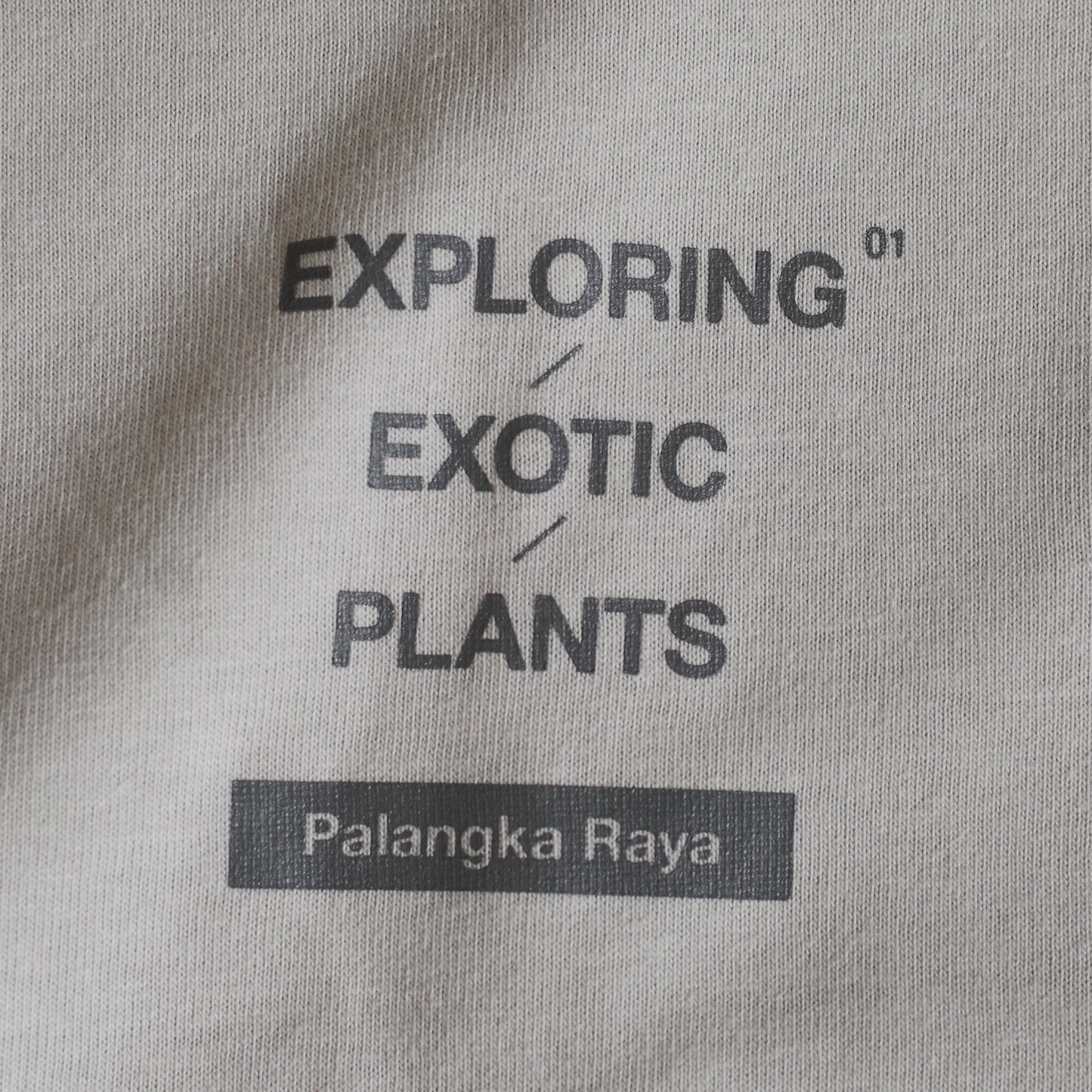 EXPLORING EXOTIC PLANTS 01  L/S TEE Palangka Raya [LIGHT GREY]
