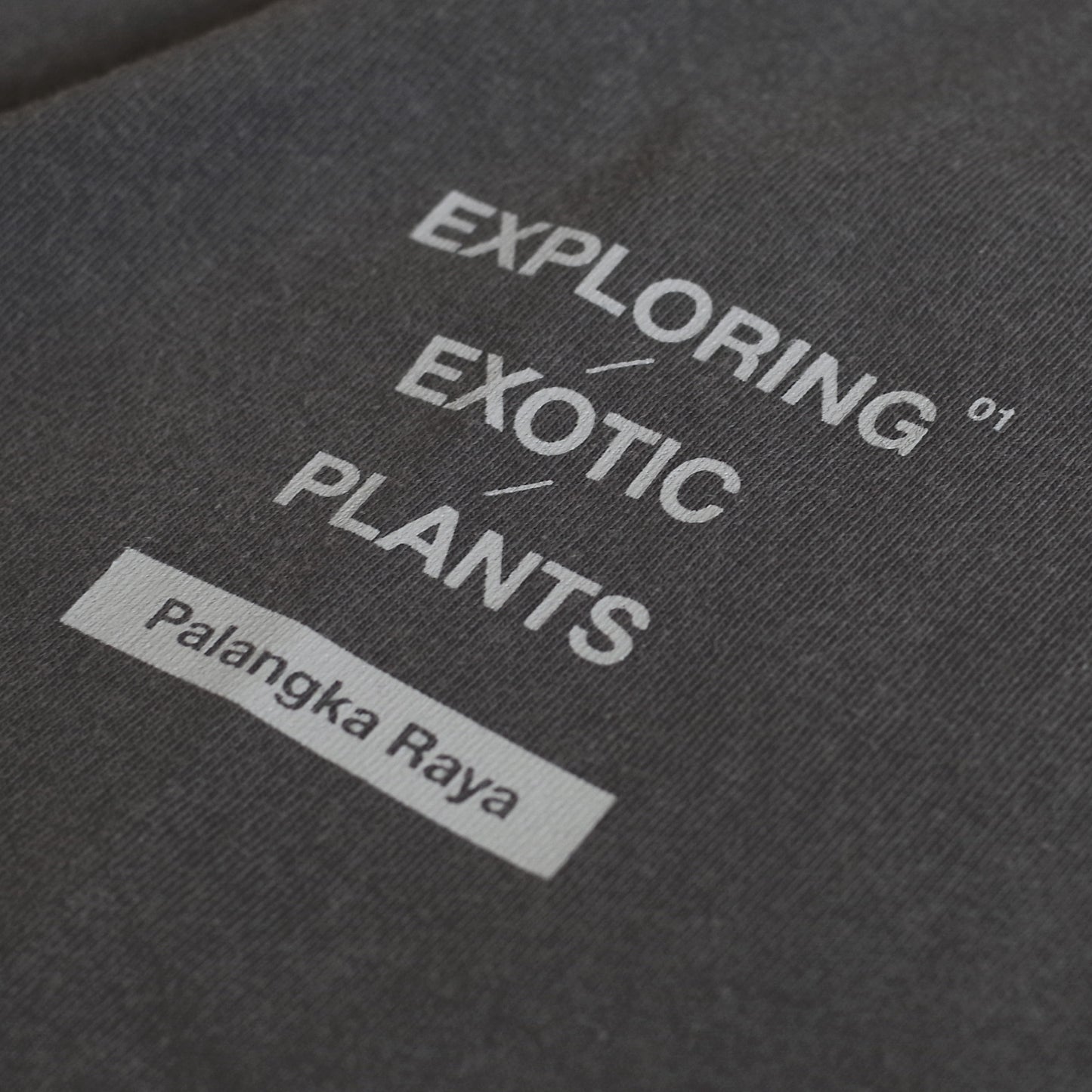 EXPLORING EXOTIC PLANTS 01 TEE Palangka Raya [FADEWASHED GREY]