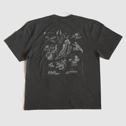 EXPLORING EXOTIC PLANTS 01 TEE Palangka Raya [FADEWASHED GREY]